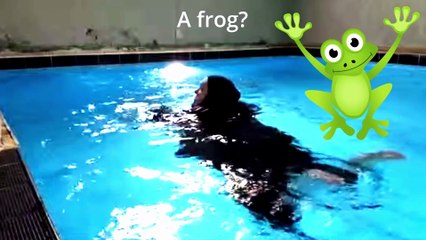 Foodie Beauty Swimming With Salah