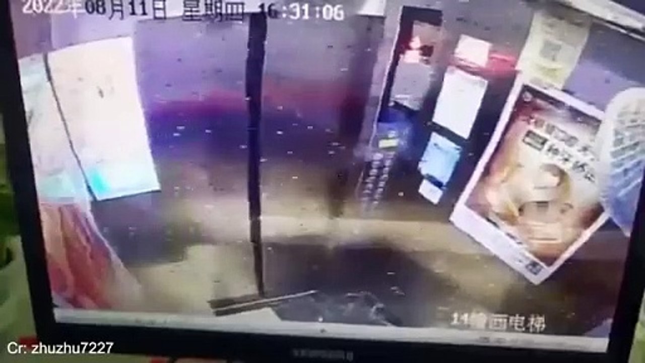 Having Protective Dogs are Awesome Funny Dog and Human Video 2024