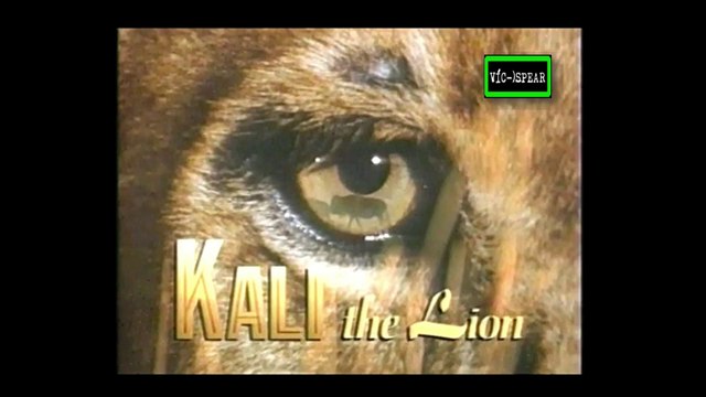 Kali, la Leona - Documental (1991) - Español Latino