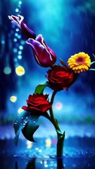 BEAUTIFUL FLOWERS DANCING