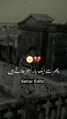 Phir Sy Ek Baar Ujad Jate Hai❤ #viral #music #video #subscribe #trending