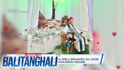 Golden retriever na well-behaved sa loob ng simbahan, kinagigiliwan online | Balitanghali