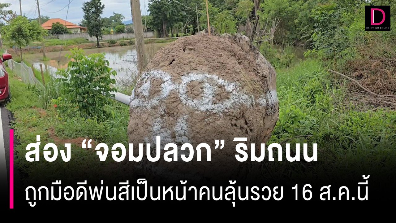 เลขเด็ด! ส่อง "จอมปลวก" ริมถนนถูกมือดีพ่นสีเป็นหน้าคนลุ้นรวย 16 ส.ค.นี้ | HOTSHOT เดลินิวส์ 13/08/67