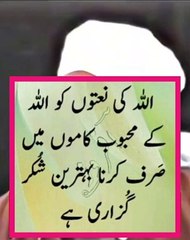 حضرت انس بن مالک رضى الله عنه سے روایت ہے، رسول اللہ صلى الله عليه وسلم  نے ارشاد فرمایا:  جو شخص اپنی عمر ميں درازی اور رزق میں برکت کا خواہش مند ہو اس کو چاہئے کہ والدین کے ساتھ بھلائی اور صلہ رحمی کرے۔  #hajj2025 #Hajiya_aisha  #hajj2024update  #muslim