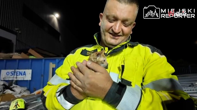 Firefighters stage dramatic three-hour rescue to free cat in drain