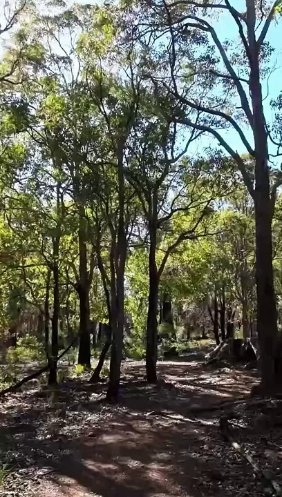 Western Australia Winter Walk 9