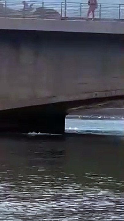 Lecco, tuffi pericolosi da strade e ponti: la moda dell'estate sul lago di Como