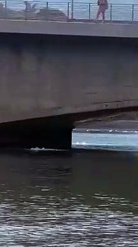 Lecco, tuffi pericolosi da strade e ponti: la moda dell'estate sul lago di Como