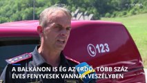 A Balkánon több száz éves fenyveseket fenyeget a tűzvész