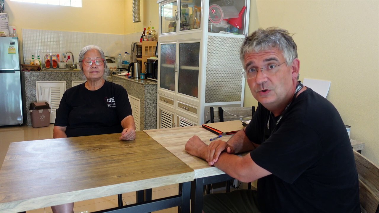 Dog Rescue Thailand. Teil 2, das Interview  #Tierheim  #hunde #dogshelter #Welpen #tierschutz