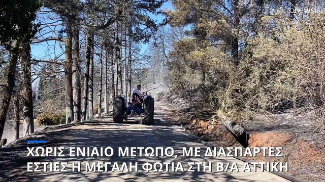 Φονική η πυρκαγιά στη ΒΑ Αττική - Χάθηκε μία ανθρώπινη ζωή - Ενισχύεται η βοήθεια από το εξωτερικό