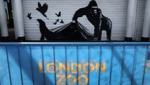 Banksy decora las calles de Londres con ocho obras de animales