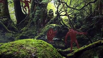 human evolution history