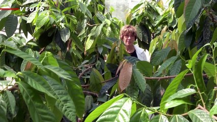 War-Damaged Israeli Research Yields Drought-Resistant "Super Hero" Plants