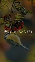 Surah Ad-Duha Beautiful Quran Recitation 