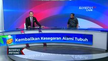 Soal Airlangga di Kasus Korupsi Sawit, Kejagung: Kami Belum Terima Informasi Pemanggilan