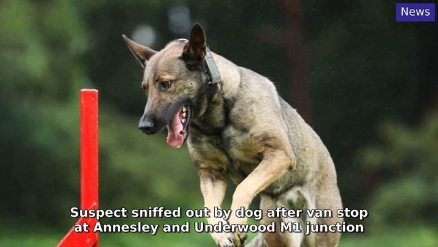 Mansfield and Ashfield Chad Morning Update 13 August, 2024