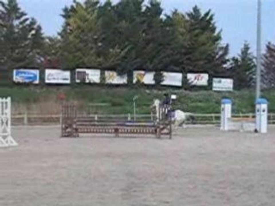 CSO Poney