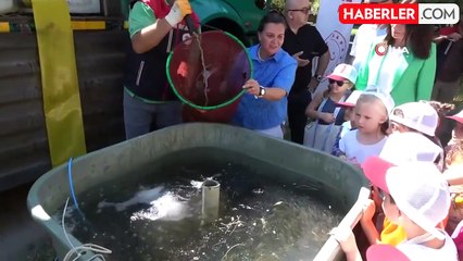 Çanakkale'de baraj ve göletlere 1 milyon 750 bin sazan balığı yavrusu bırakıldı
