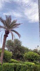 Purva Weaves Buildings & Apartments