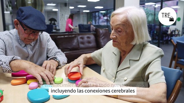 Los suplementos prebióticos, que son baratos y fáciles de obtener , mejoran la memoria en personas mayores. Esto es lo que dicen los expertos