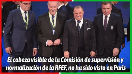 Adiós a Del Bosque