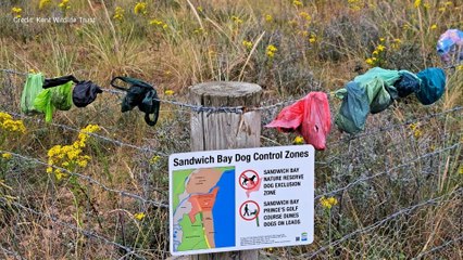 Rise in littering and vandalism at nature reserves