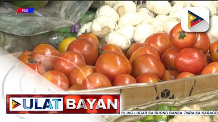 D.A., tututukan ang pagpapadala ng sobrang supply ng kamatis sa mga lugar na kulang o mataas ang presyo
