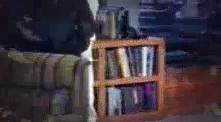 Frasier Season 8 Episode 10 Cranes Unplugged