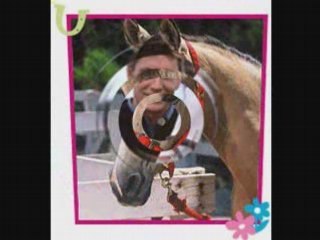 Grand Galop saison 2