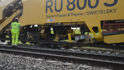 Entre Tourpes et Brugelette, la ligne à grande vitesse se refait une beauté