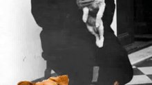 * Día del Animal en Argentina: Historia y Origen del 29 de Abril