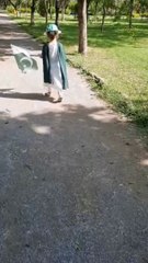 Pakistan independence day ||pakistan ||independence day