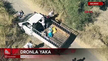 Balıkesir'de bahçeden meyve çalan 5 şüpheli dronla takip edilerek yakalandı