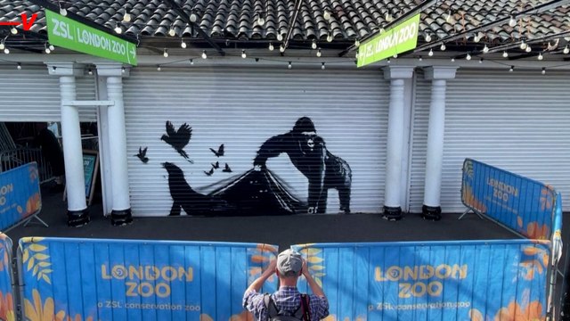 New Banksy Graffiti Has Shown Up at the London Zoo