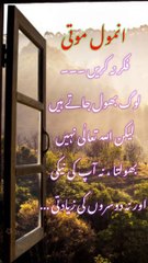 Sunehri batain in urdu | best aqwal e zareen | anmol moti | Musafir |انمول باتیں
