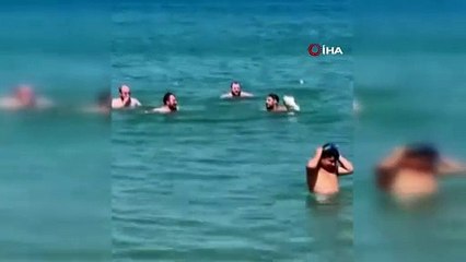 Yüzmek için girdi 6 kiloluk levreği eliyle yakaladı