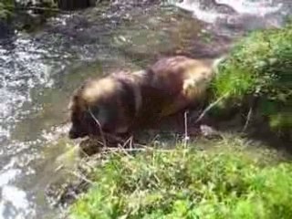 Eclair dans l'eau