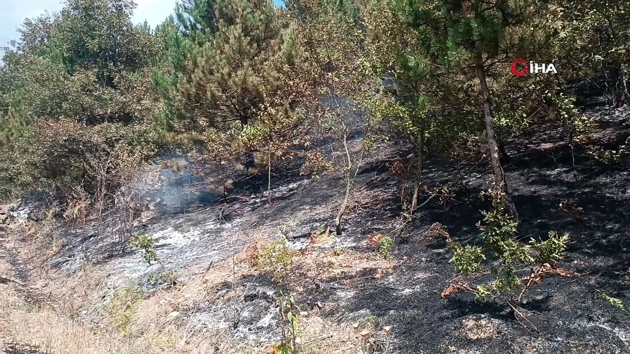 Samsun Havza'da Anız Yangını: 150 Dekar Alan Kül Oldu