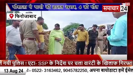 Firozabad: गौशाला में गायों की हालत खराब, 4 की की मौत