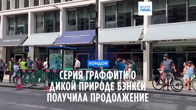 Нашествие диких животных на Лондон: обнаружены новые граффити Бэнкси