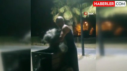 Denize atılan balık ağının kurbanı oluyordu