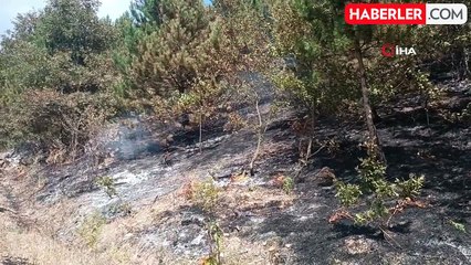 Samsun'da anız yangını: 150 dekar alan zarar gördü