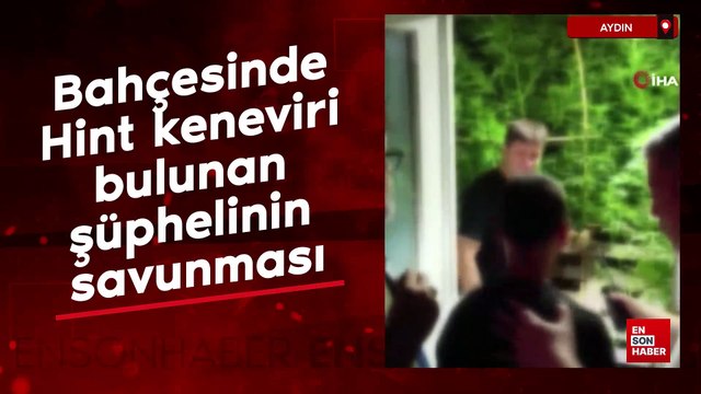 Aydın'da bahçesinde Hint keneviri bulunan şüphelinin savunması