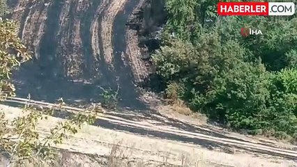 Samsun'da anız yangını: 150 dekar alan zarar gördü