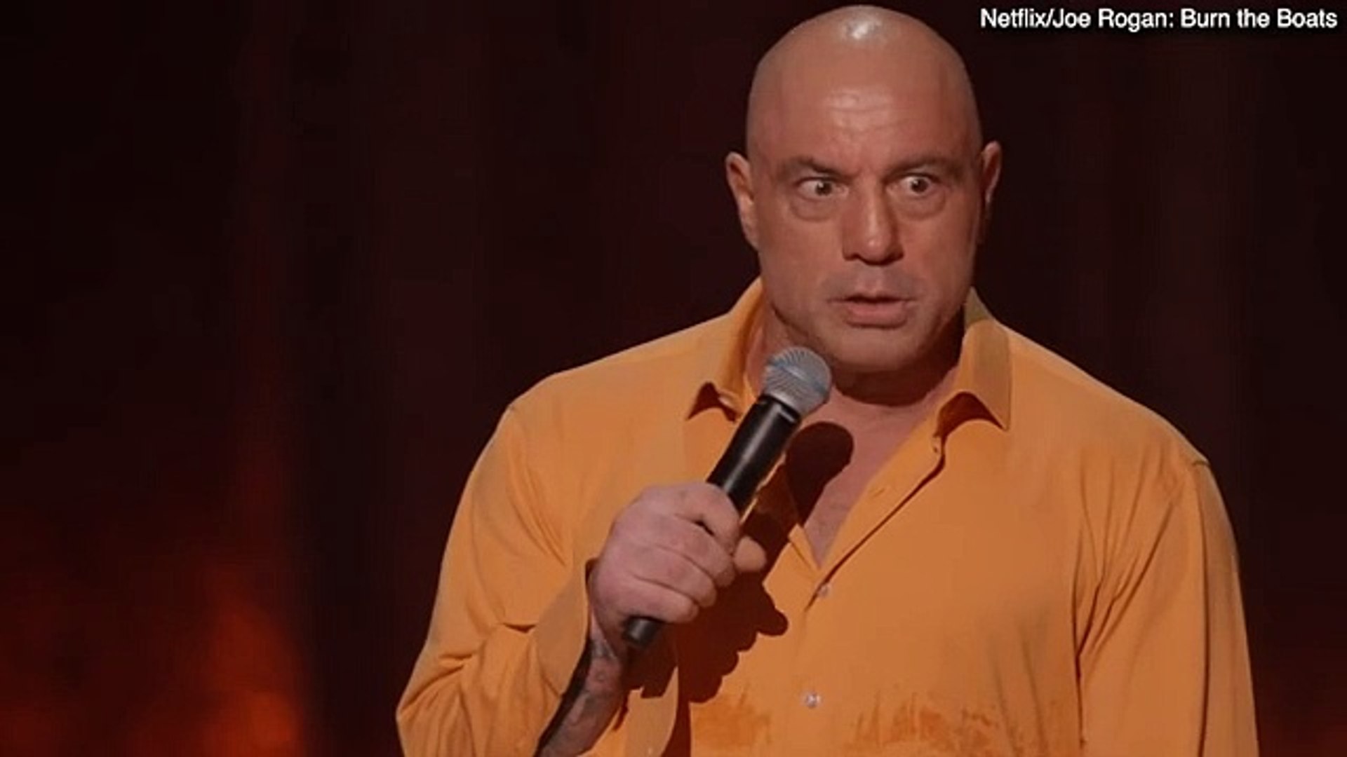 ⁣Joe Rogan mocks Prince Harry in new Netflix stand up show