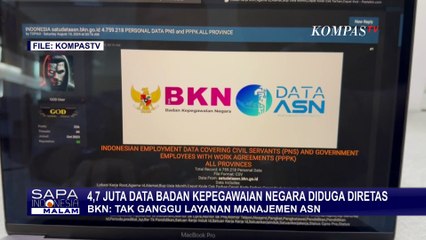 Kata Badan Kepegawaian Negara soal Dugaan 4,7 Juta Pribadi Pegawai ASN Diretas
