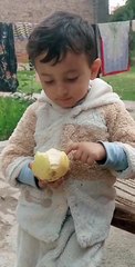 Baby eating guava
