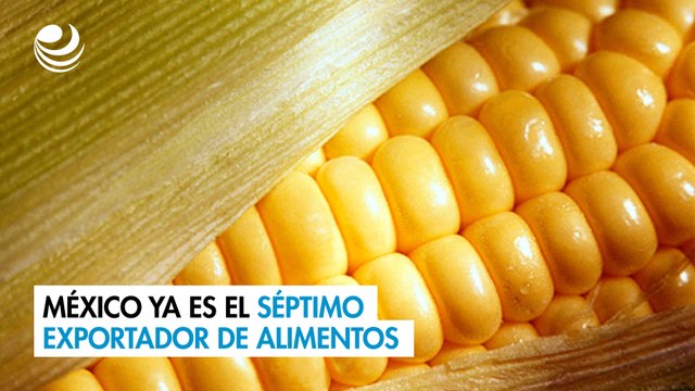 México ya es el séptimo exportador de alimentos