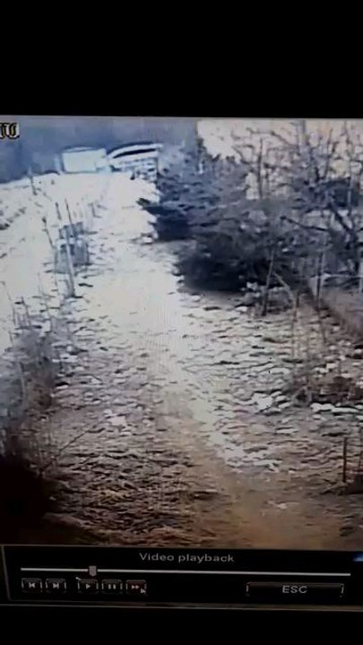 Șogor Tiberiu Adrian  01/02/2024, Sibiu